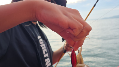 2025년 9월 2일 바다사랑호 쭈꾸미 조황