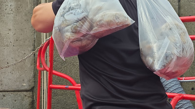 2025.09.09 바다사랑호 쭈꾸미 5시간 조업사진 입니다.