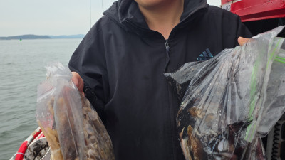 2025.10.02 쭈, 갑오징어 조황 사진입니다.