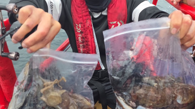 2025.10.04 갑오징어 조황 사진입니다.