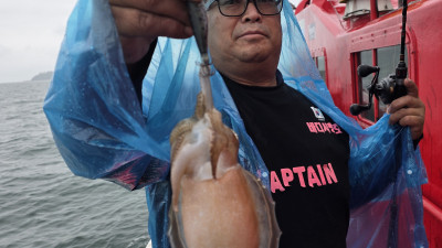 2025.10.13 5시간 갑오징어 조업 사진입니다.